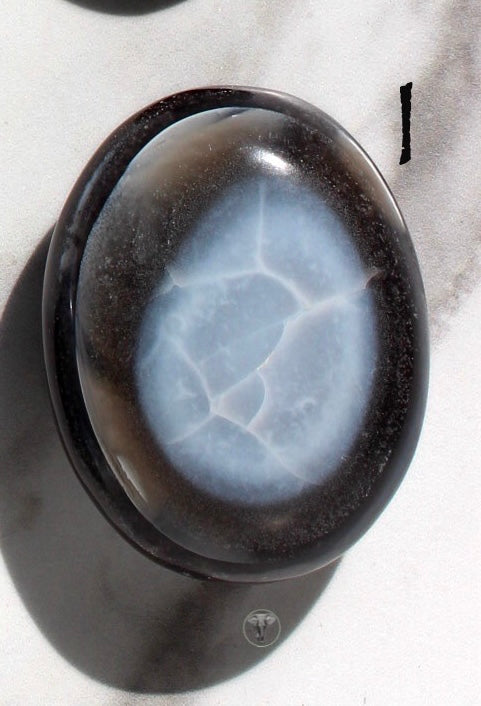 Owyhee Opal Palmstones