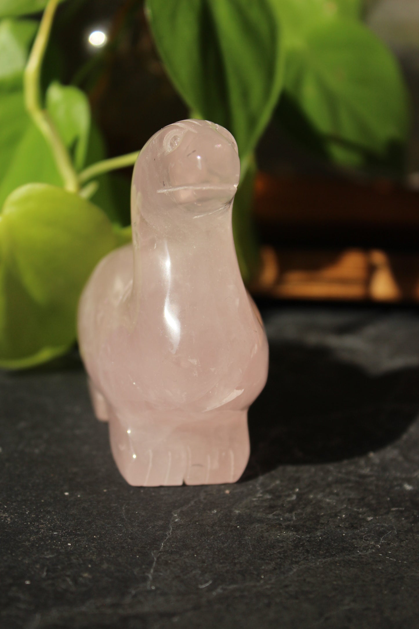 Rose Quartz Dinosaur Brontosaurus | Rose Quartz Animal | Tons of Soul
