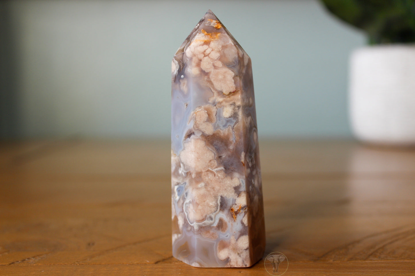 Flower Agate Point 4