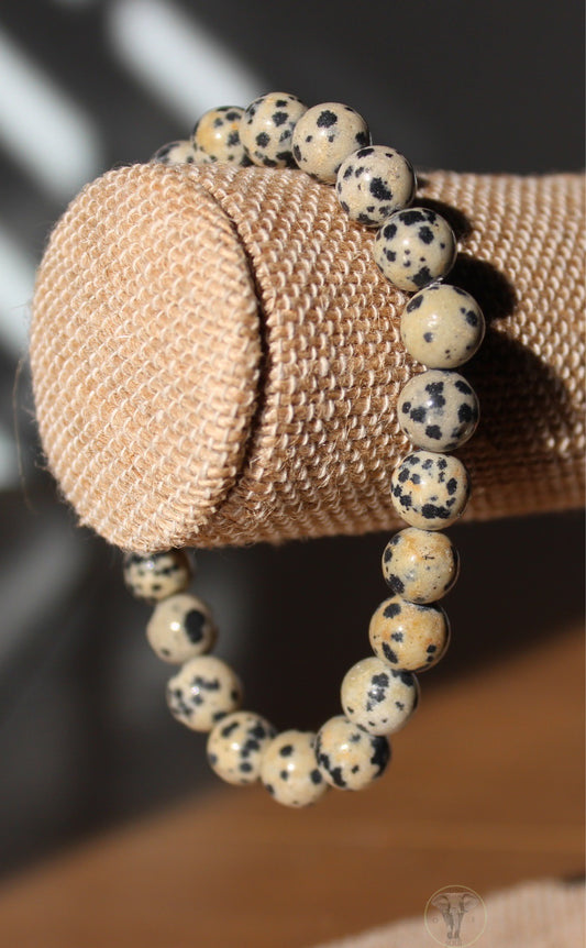 Dalmatian Jasper Bracelet