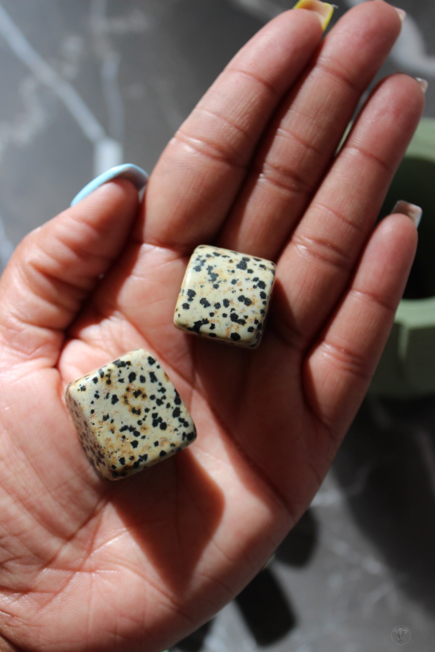 Dalmatian Jasper Tumbled Cube