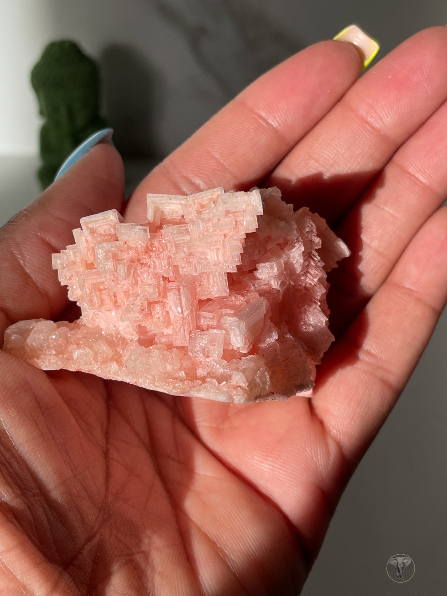 Pink Halite Specimen from Owens Lake, California 4
