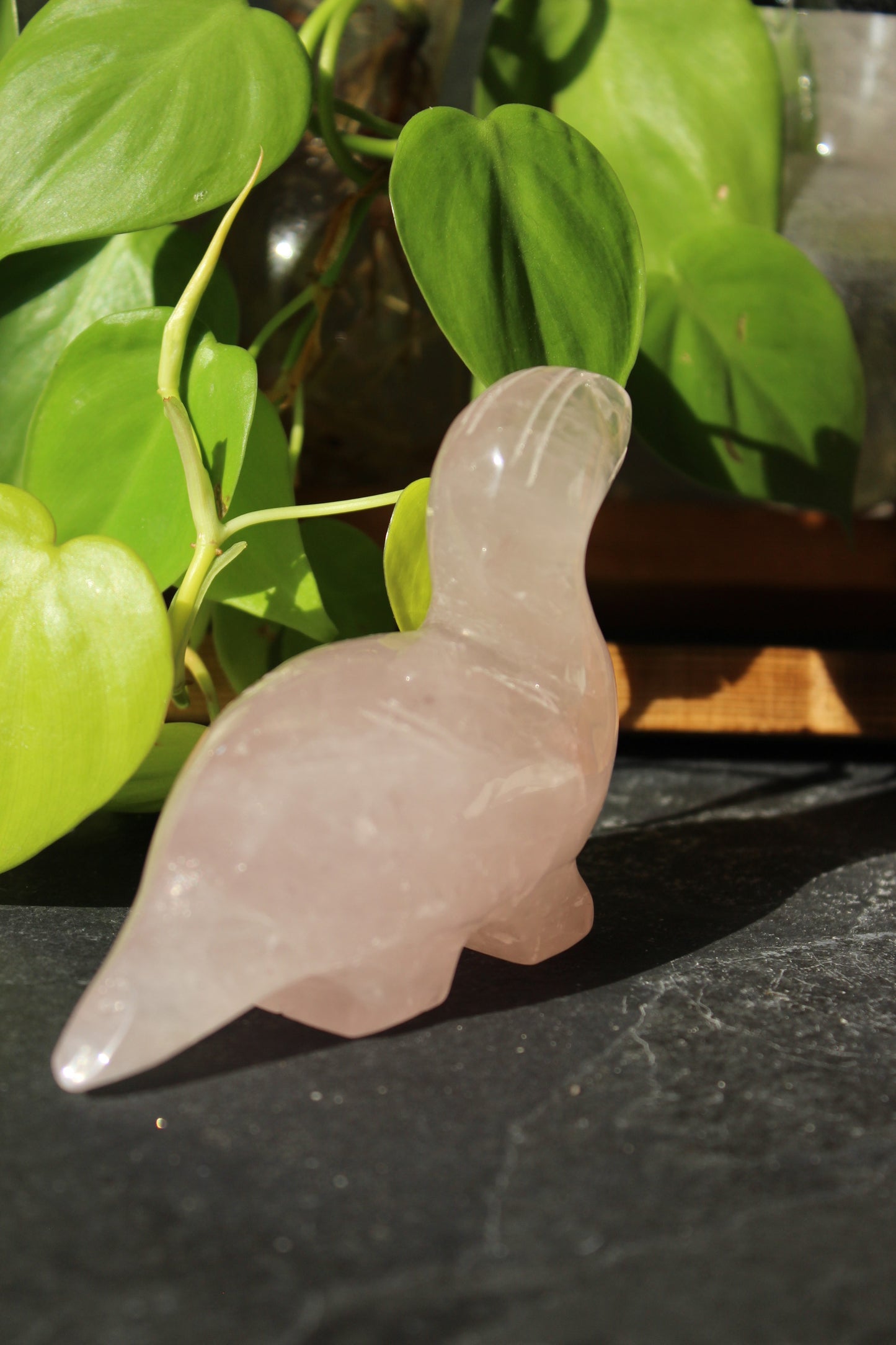 Rose Quartz Dinosaur Brontosaurus | Rose Quartz Animal | Tons of Soul