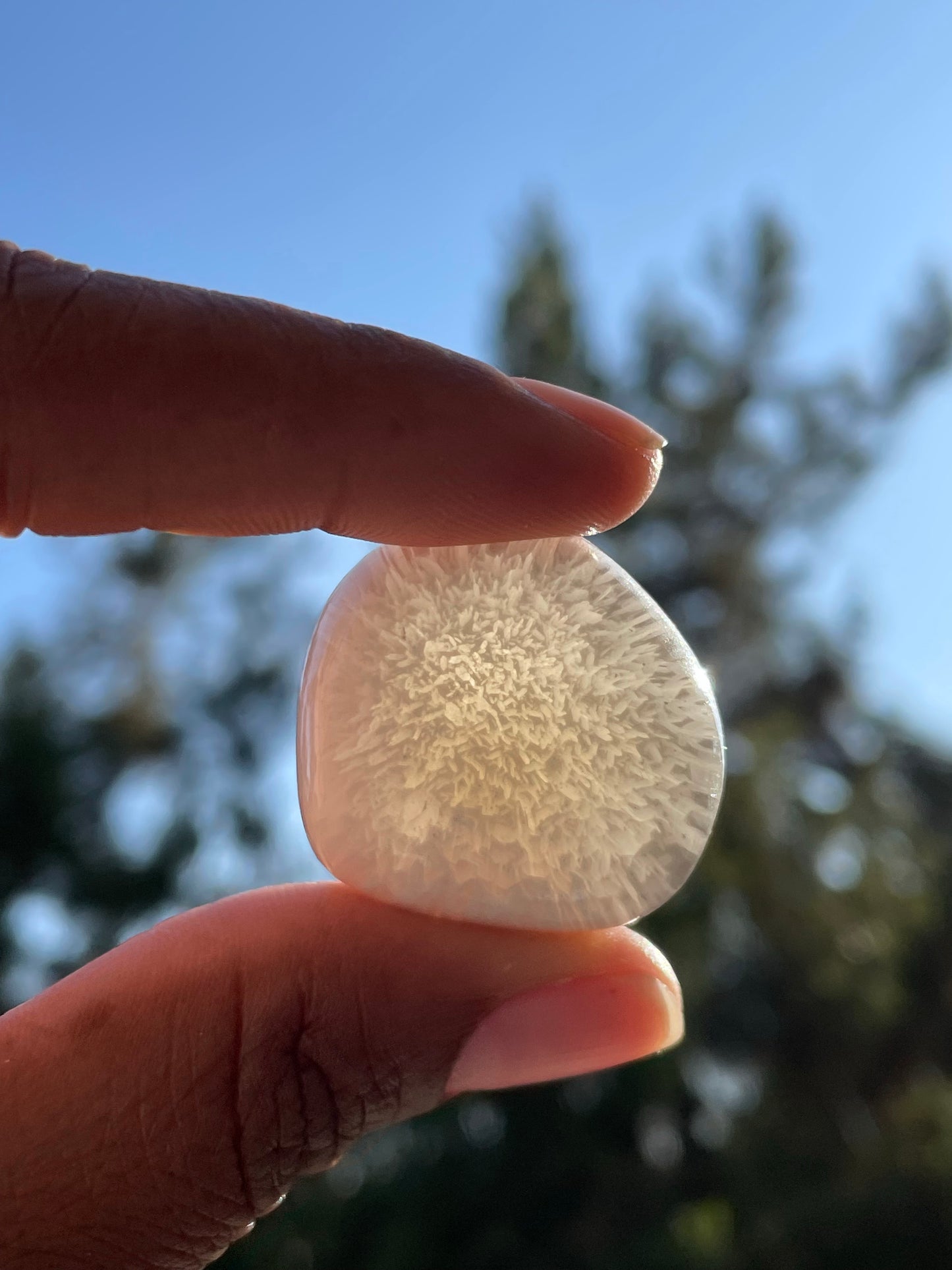 example of what one could look like