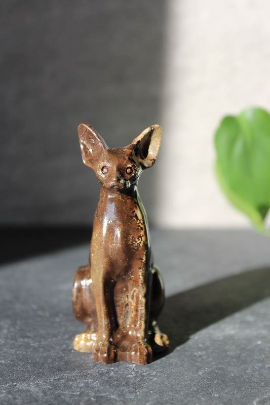 Beautiful Picture Jasper Big Eared Cat