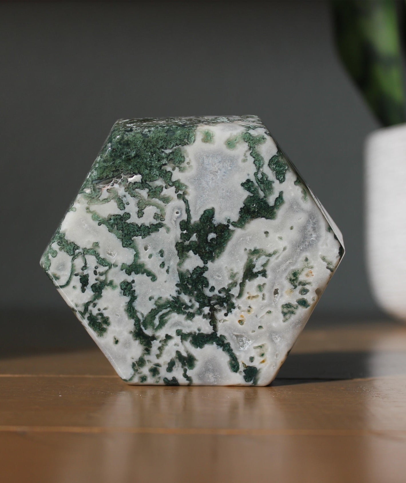 Tree Agate Trinket Bowl | Tons of Soul