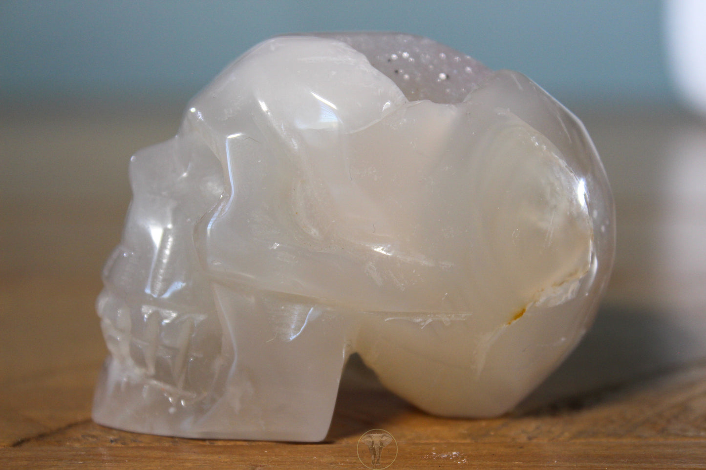 Flower Agate Skull