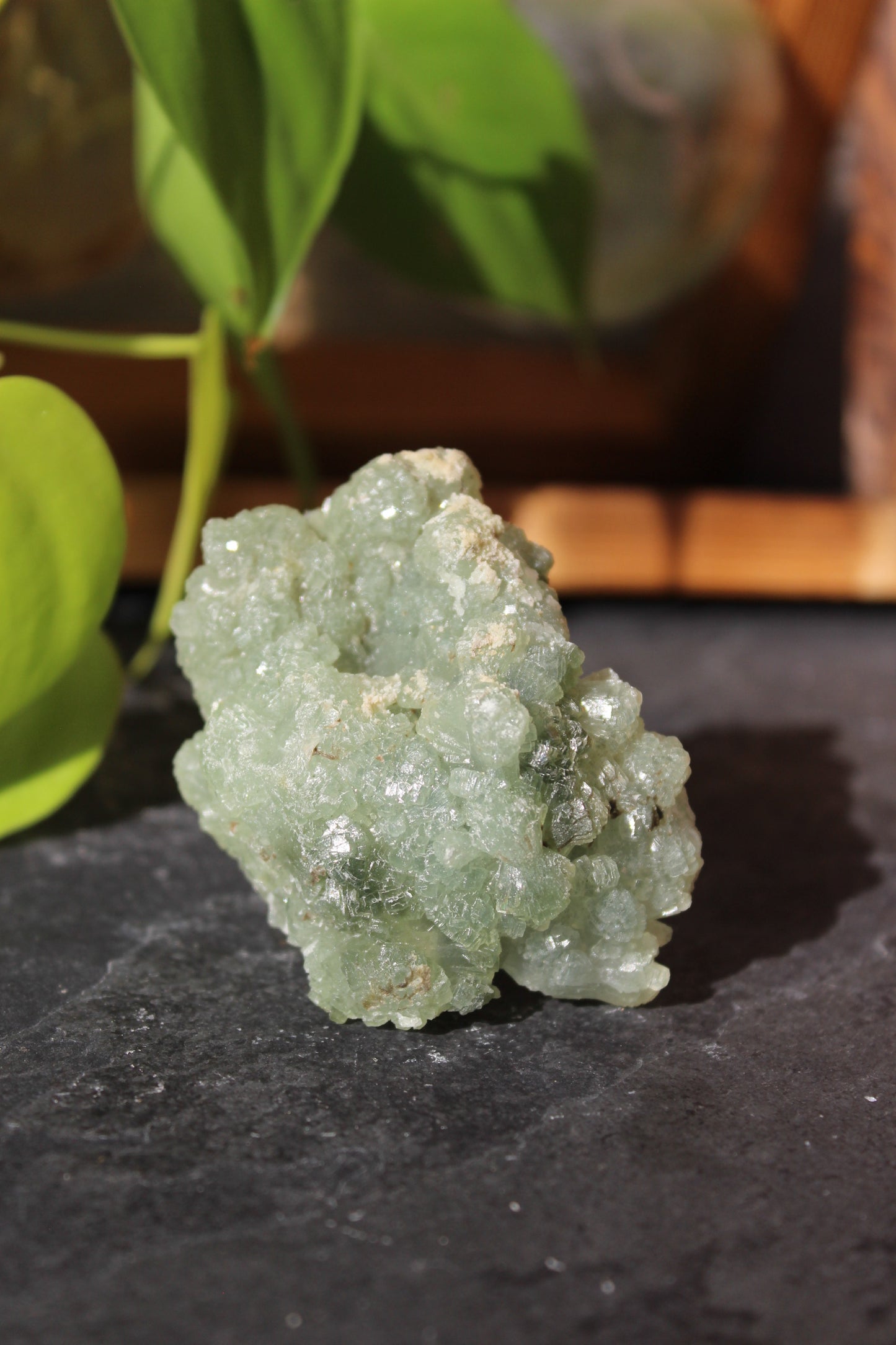 Prehnite and Epidote with Actinolite Cluster Specimen - Morocco | Raw Crystals | Tons of Soul