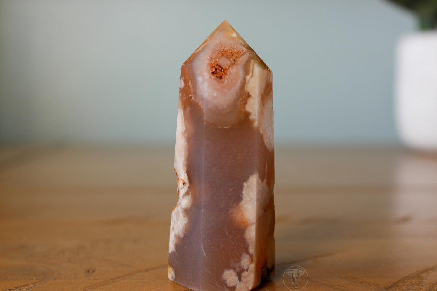 Flower Agate Point 1