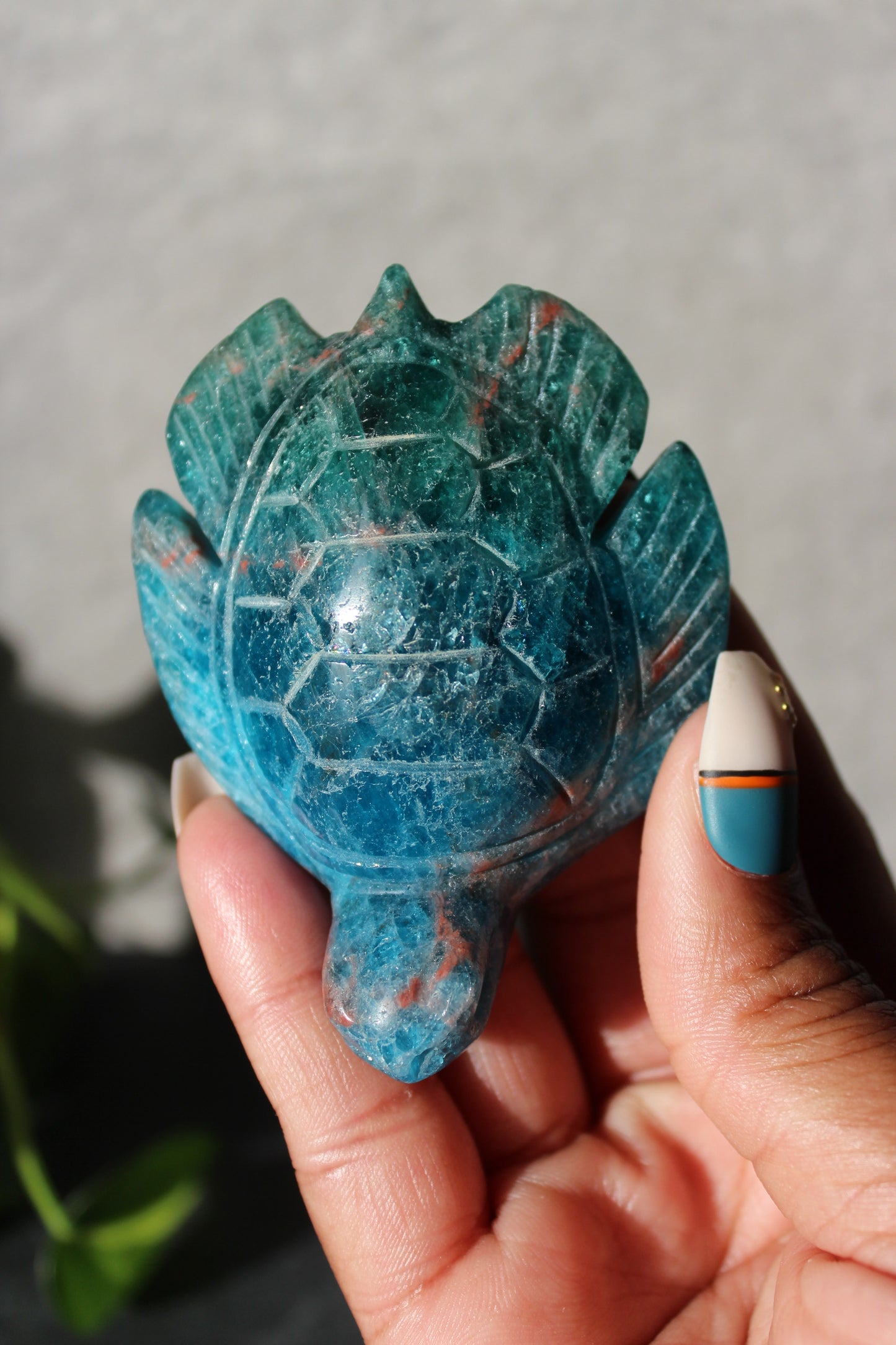 Apatite Turtle | Blue and Green Apatite Turtle | Crystal Turtle | Tons of Soul