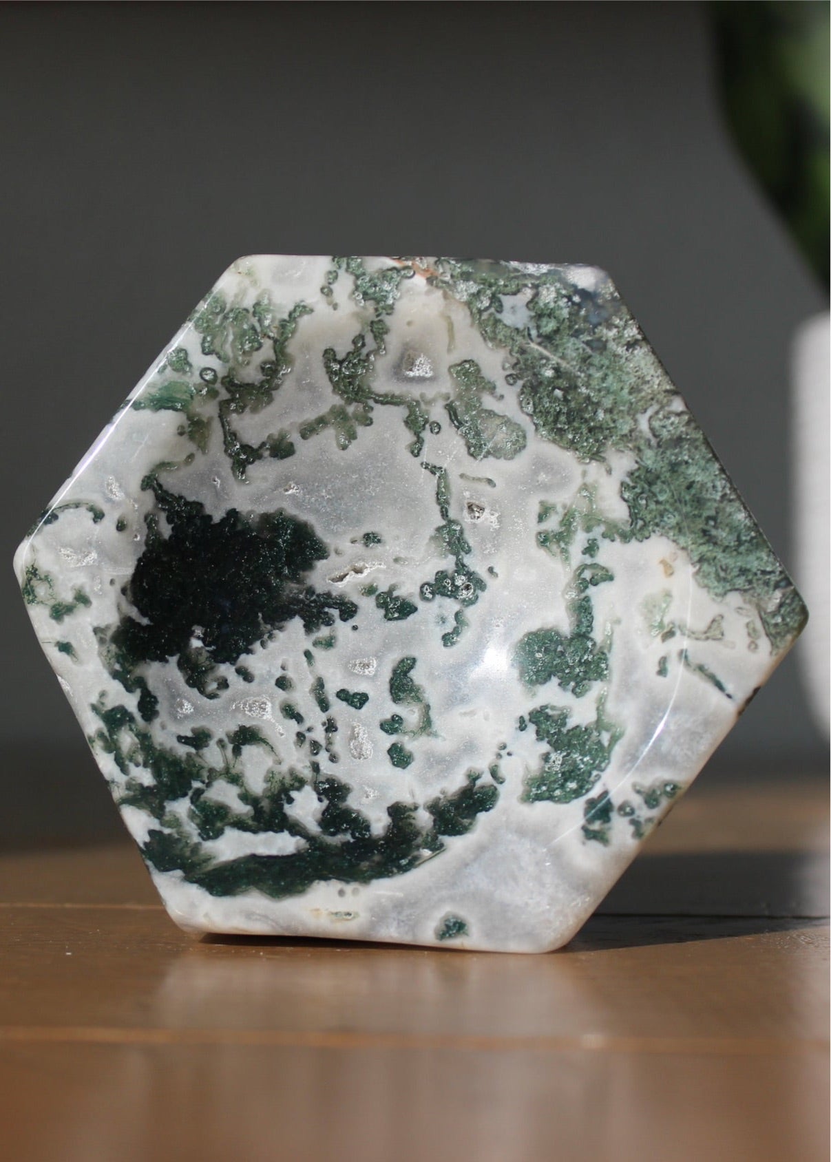 Tree Agate Trinket Bowl | Tons of Soul