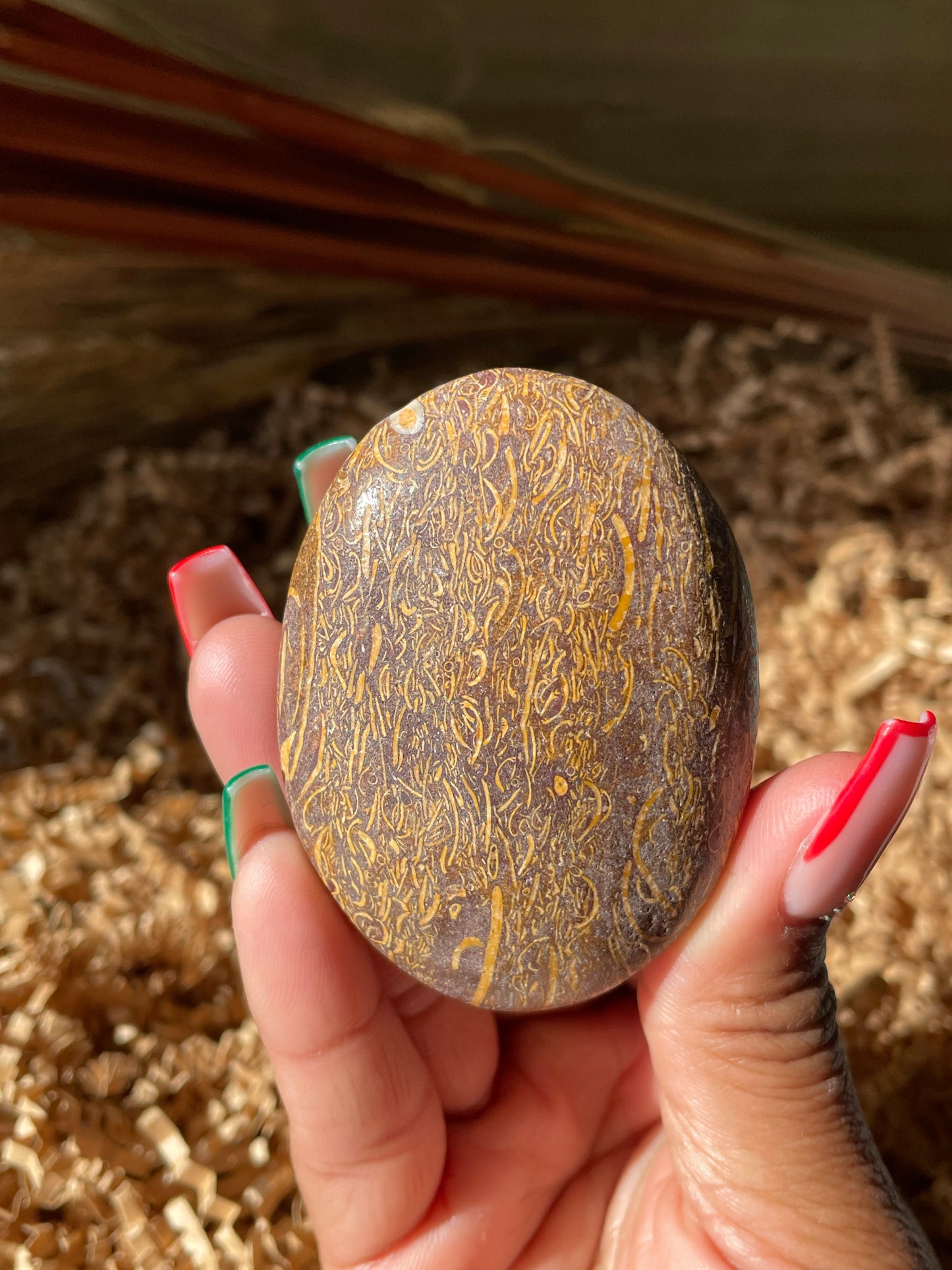 Calligraphy Stone Palmstone #4