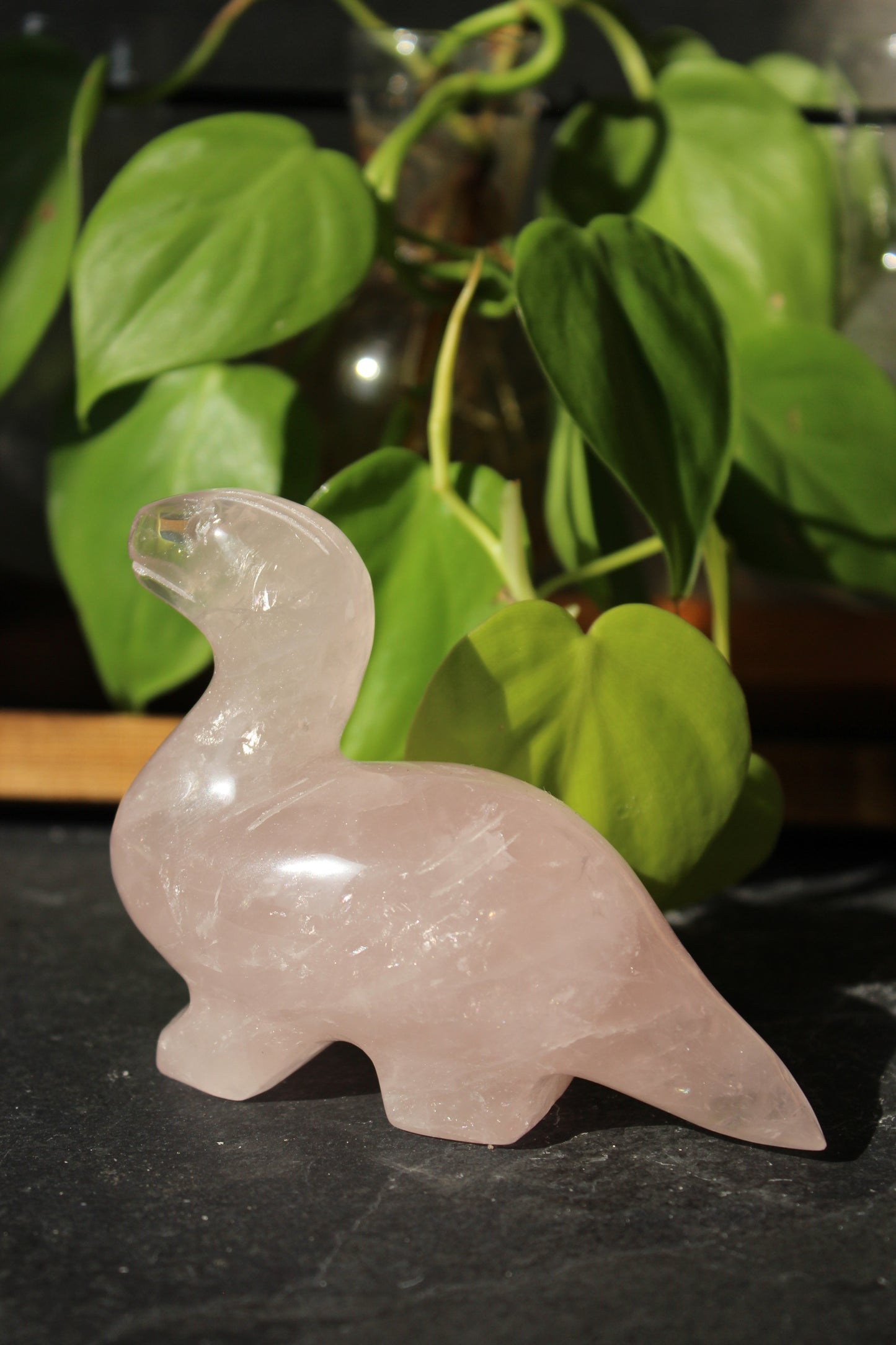 Rose Quartz Dinosaur Brontosaurus | Rose Quartz Animal | Tons of Soul