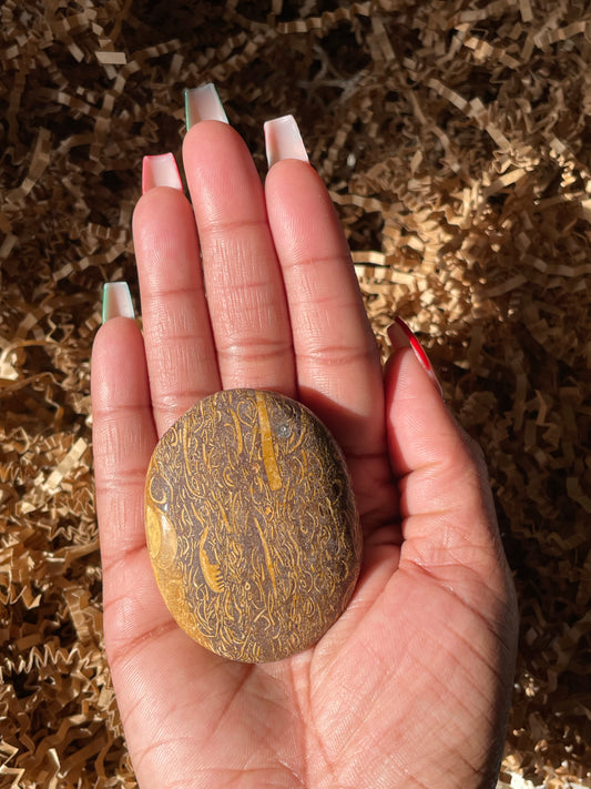 Calligraphy Stone Palmstone #6