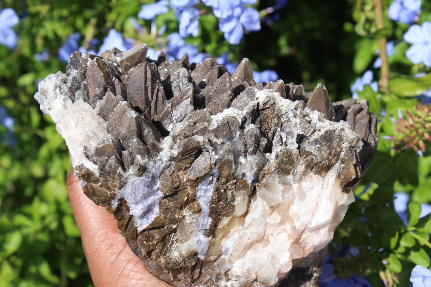 Dogtooth Calcite with Purple Fluorite Specimen