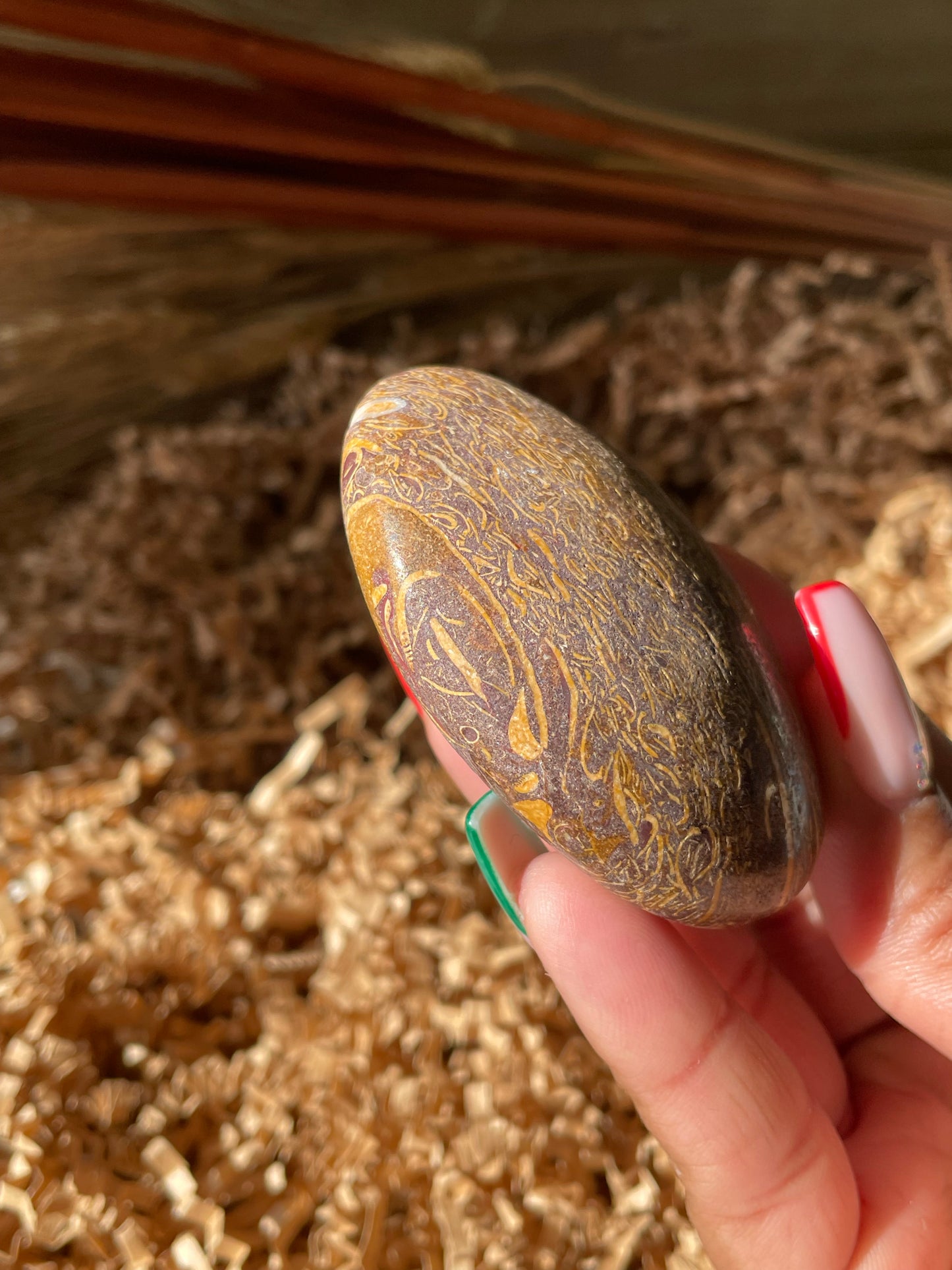 Calligraphy Stone Palmstone #4
