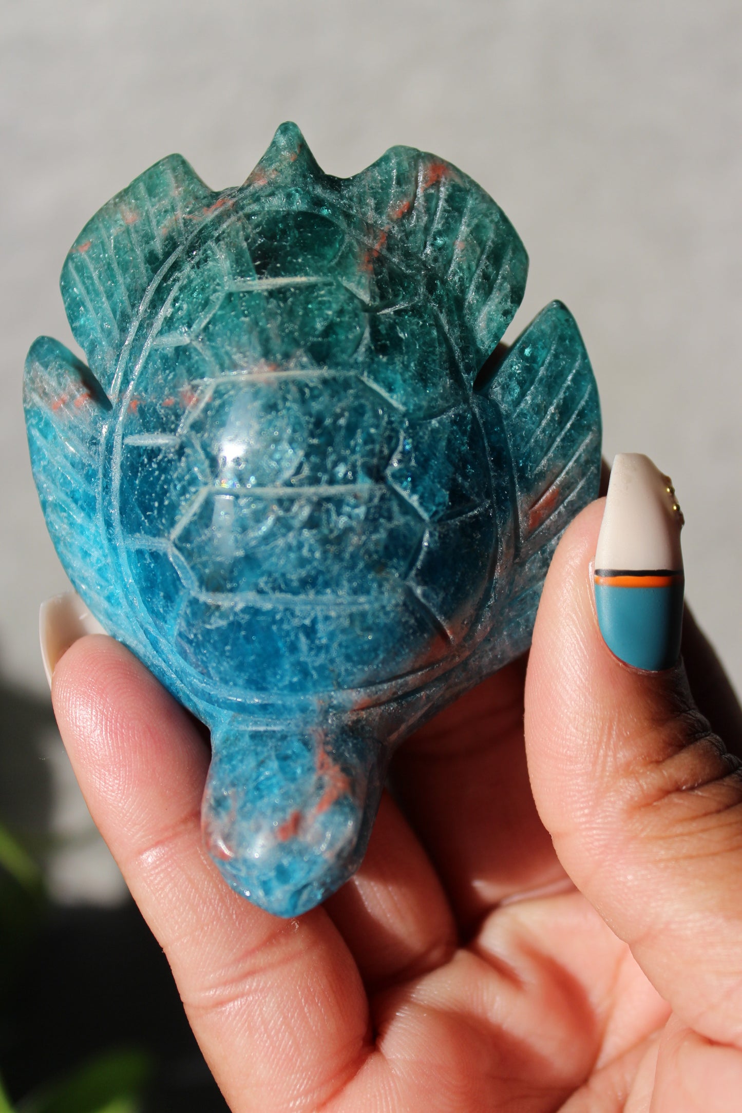 Apatite Turtle | Blue and Green Apatite Turtle | Crystal Turtle | Tons of Soul