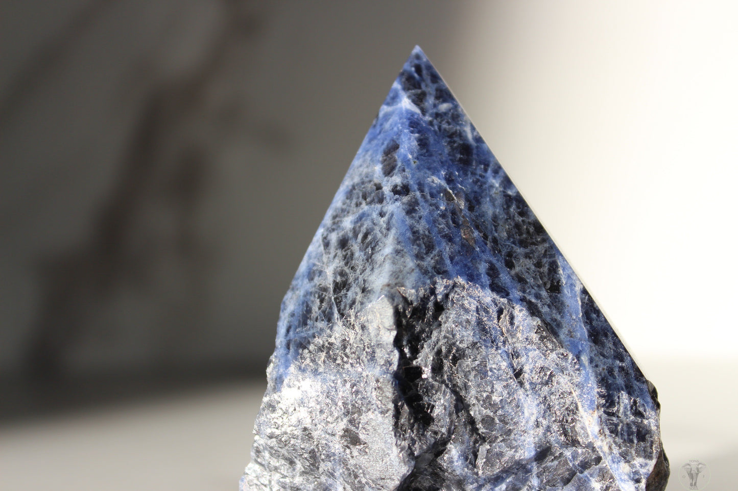 Sodalite Polished Top, Raw Sides Point (3)