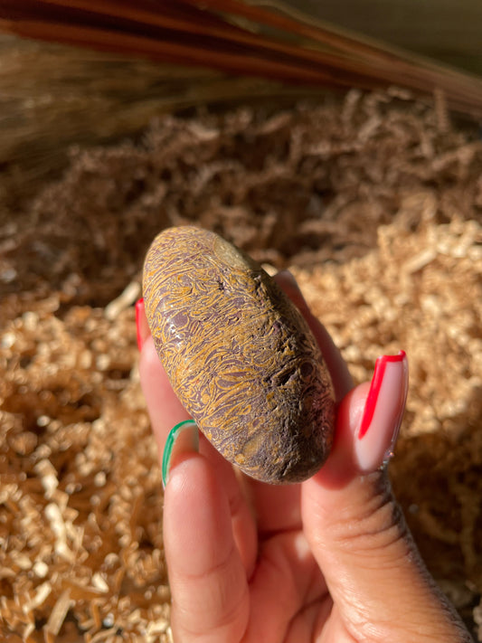 Calligraphy Stone Palmstone #10
