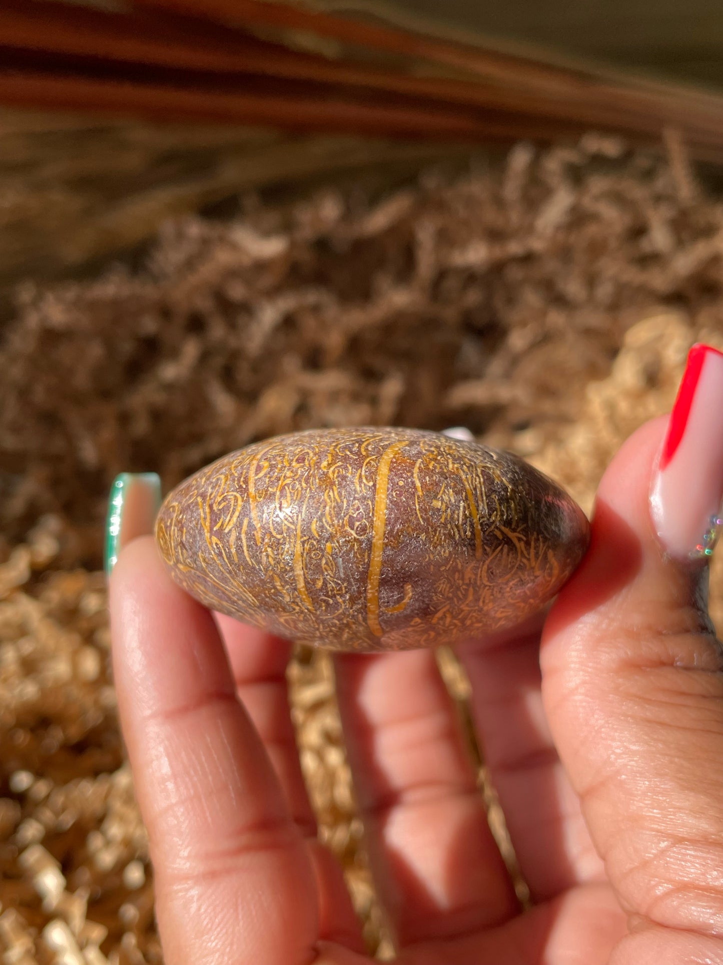 Calligraphy Stone Palmstone #4