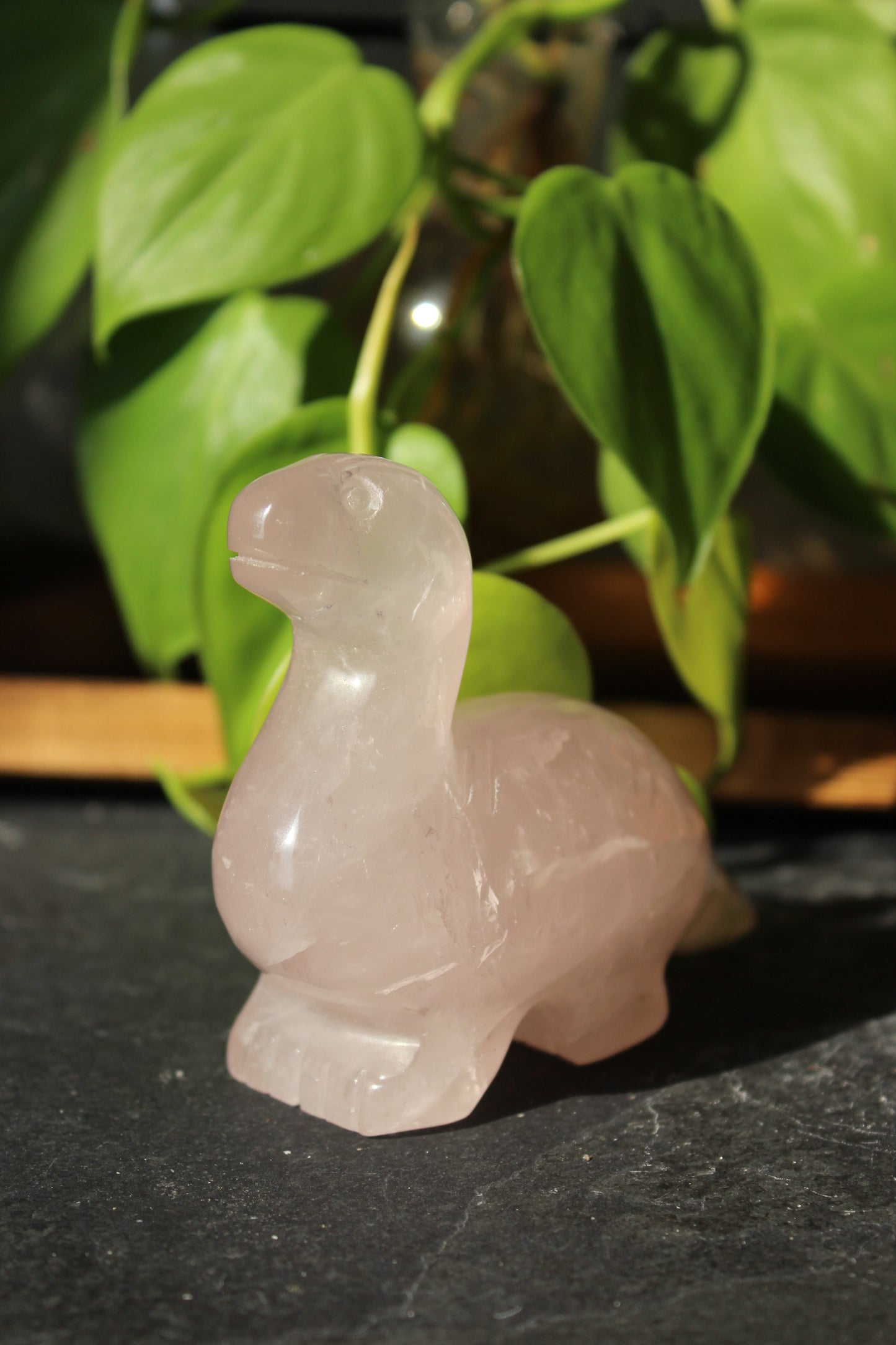 Rose Quartz Dinosaur Brontosaurus | Rose Quartz Animal | Tons of Soul