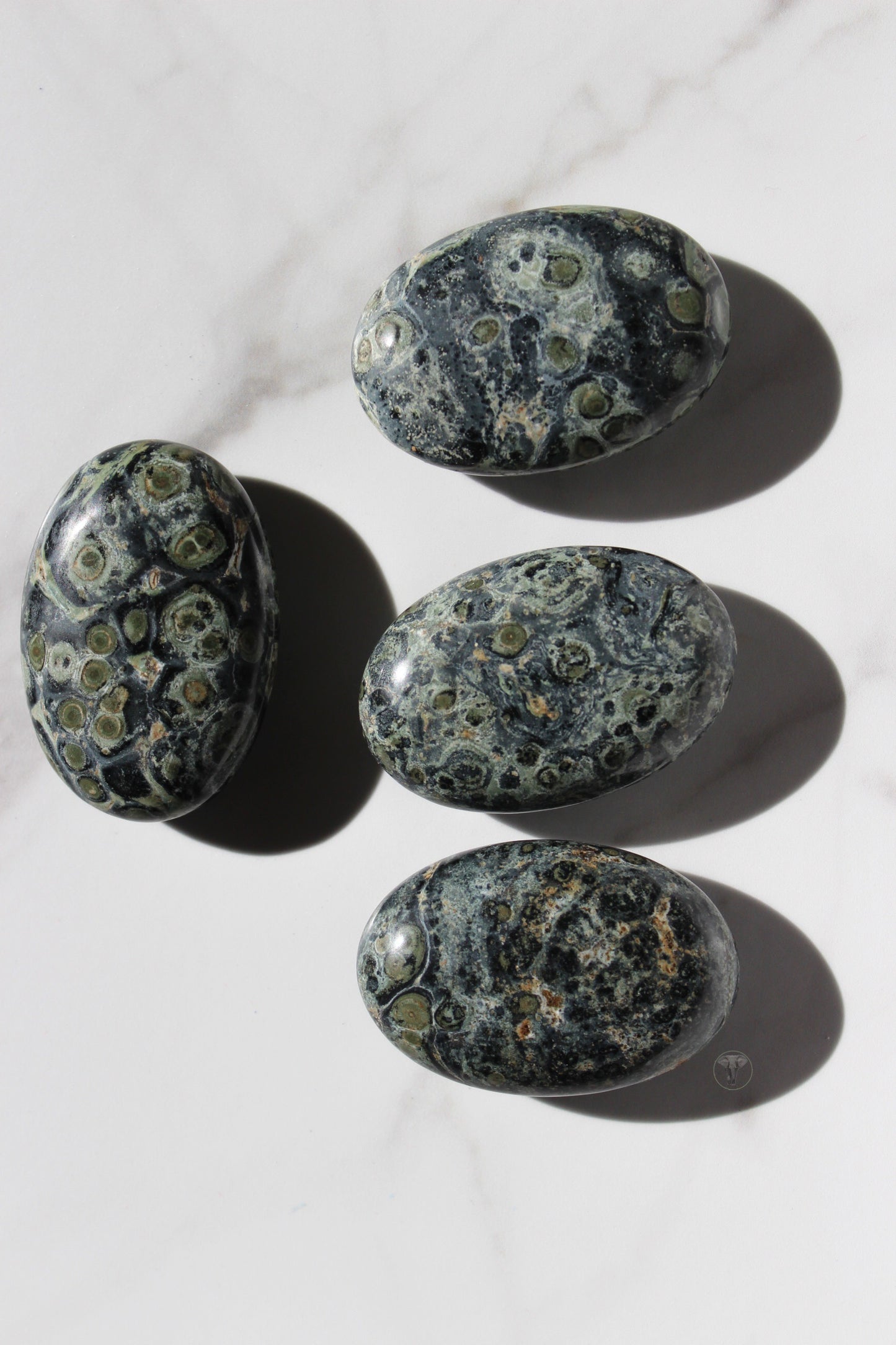 Kambaba Jasper Palmstone | Kambaba Jasper Palm Stone | Tons of Soul Crystals