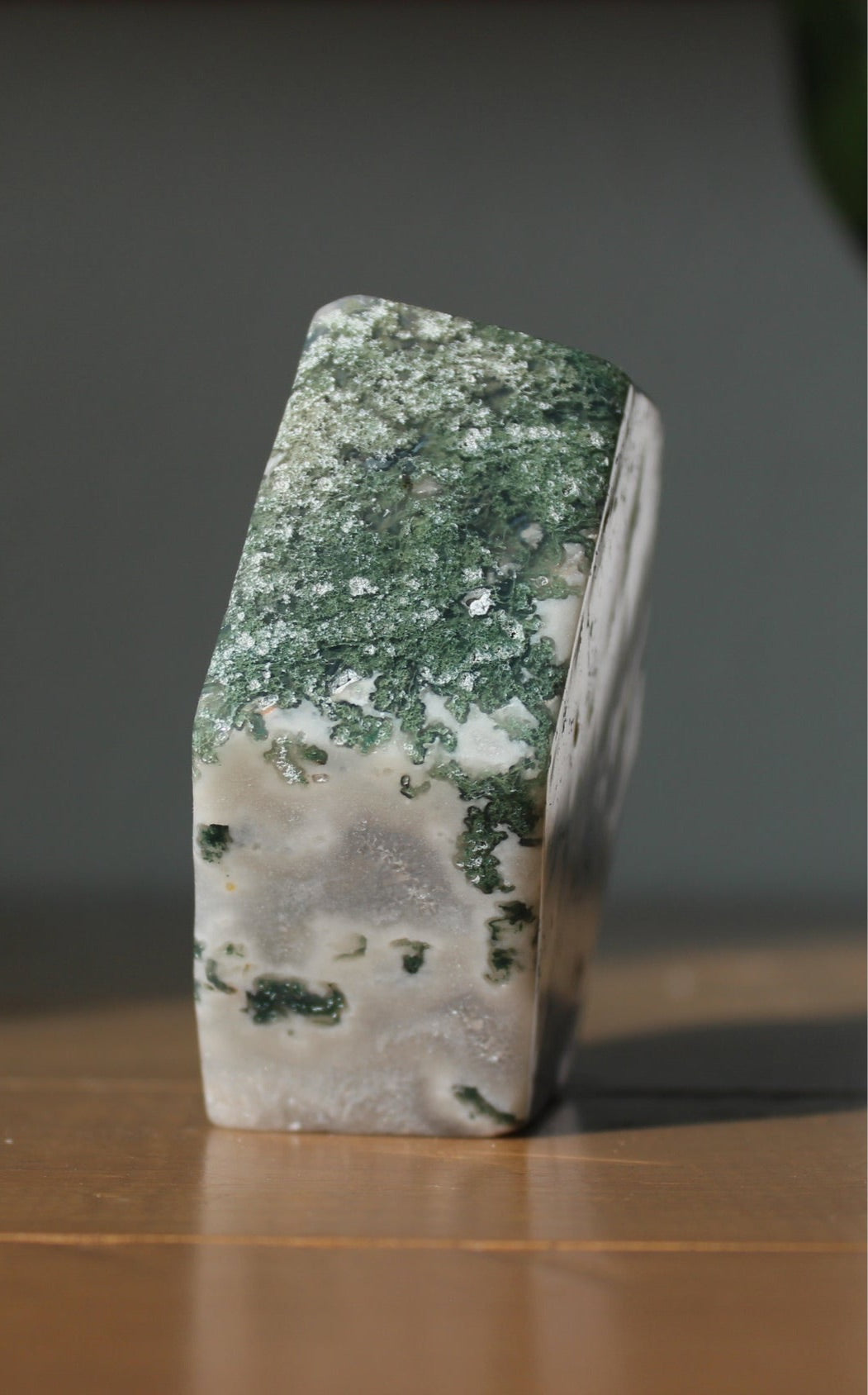 Tree Agate Trinket Bowl | Tons of Soul