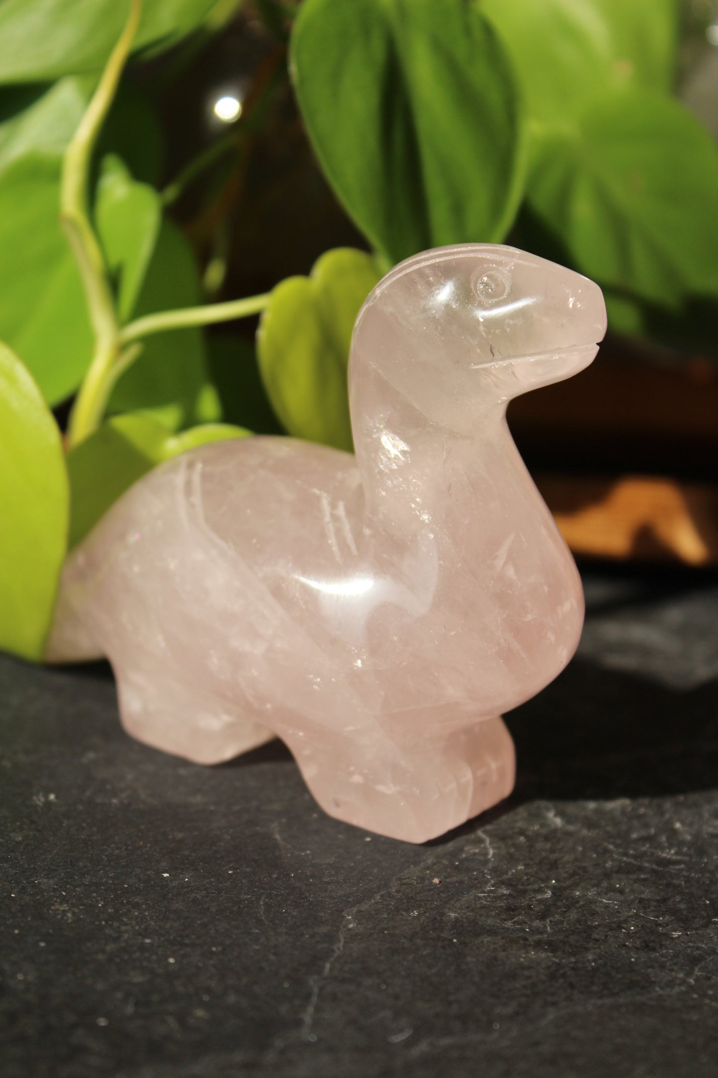 Rose Quartz Dinosaur Brontosaurus | Rose Quartz Animal | Tons of Soul