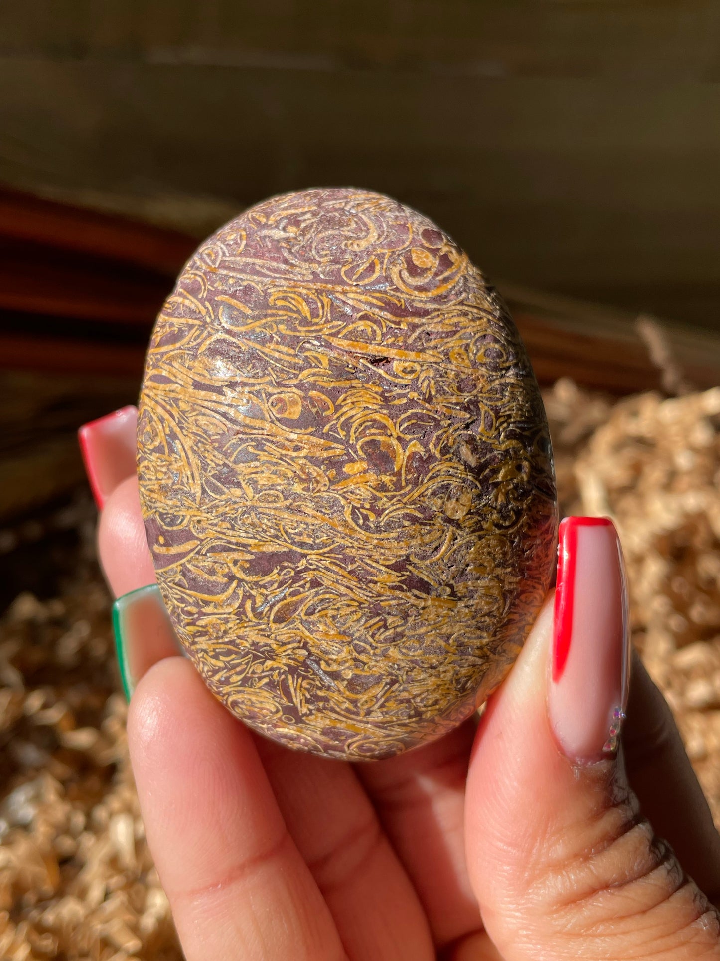 Calligraphy Stone Palmstone #3