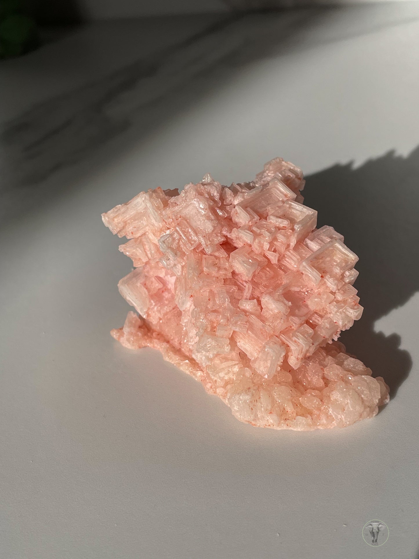 Pink Halite Specimen from Owens Lake, California 4
