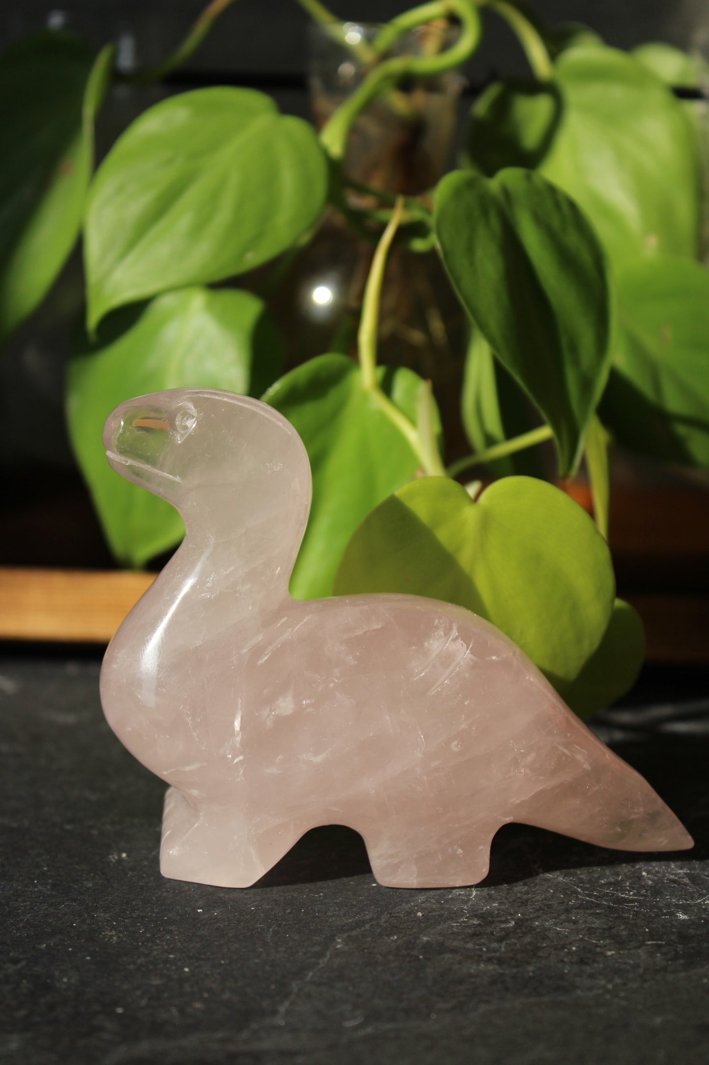Rose Quartz Dinosaur Brontosaurus | Rose Quartz Animal | Tons of Soul