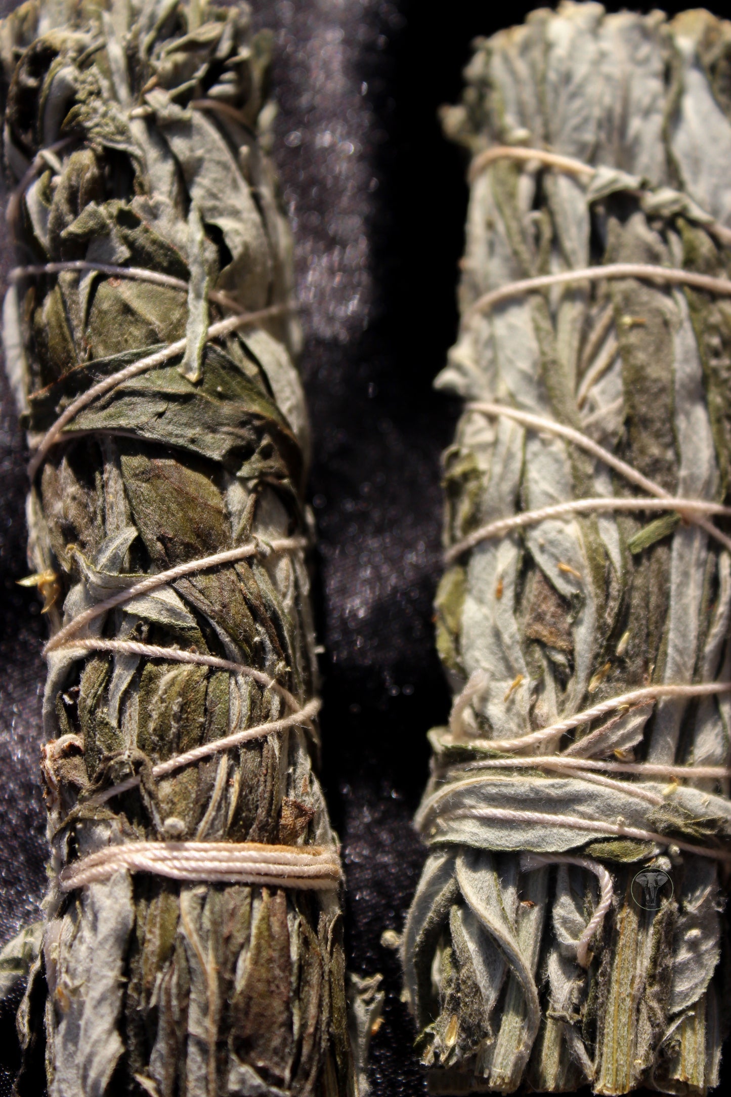 Mugwort Bundle