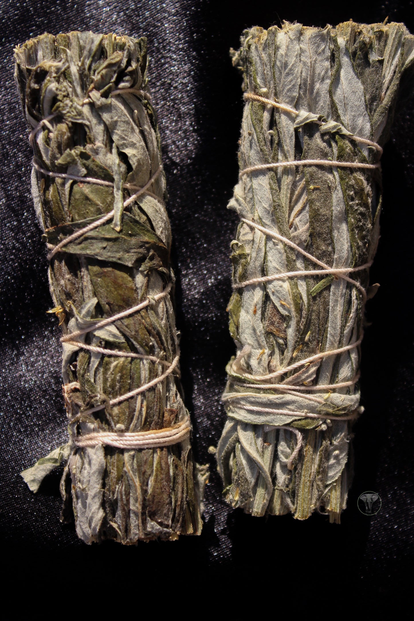 Mugwort Bundle