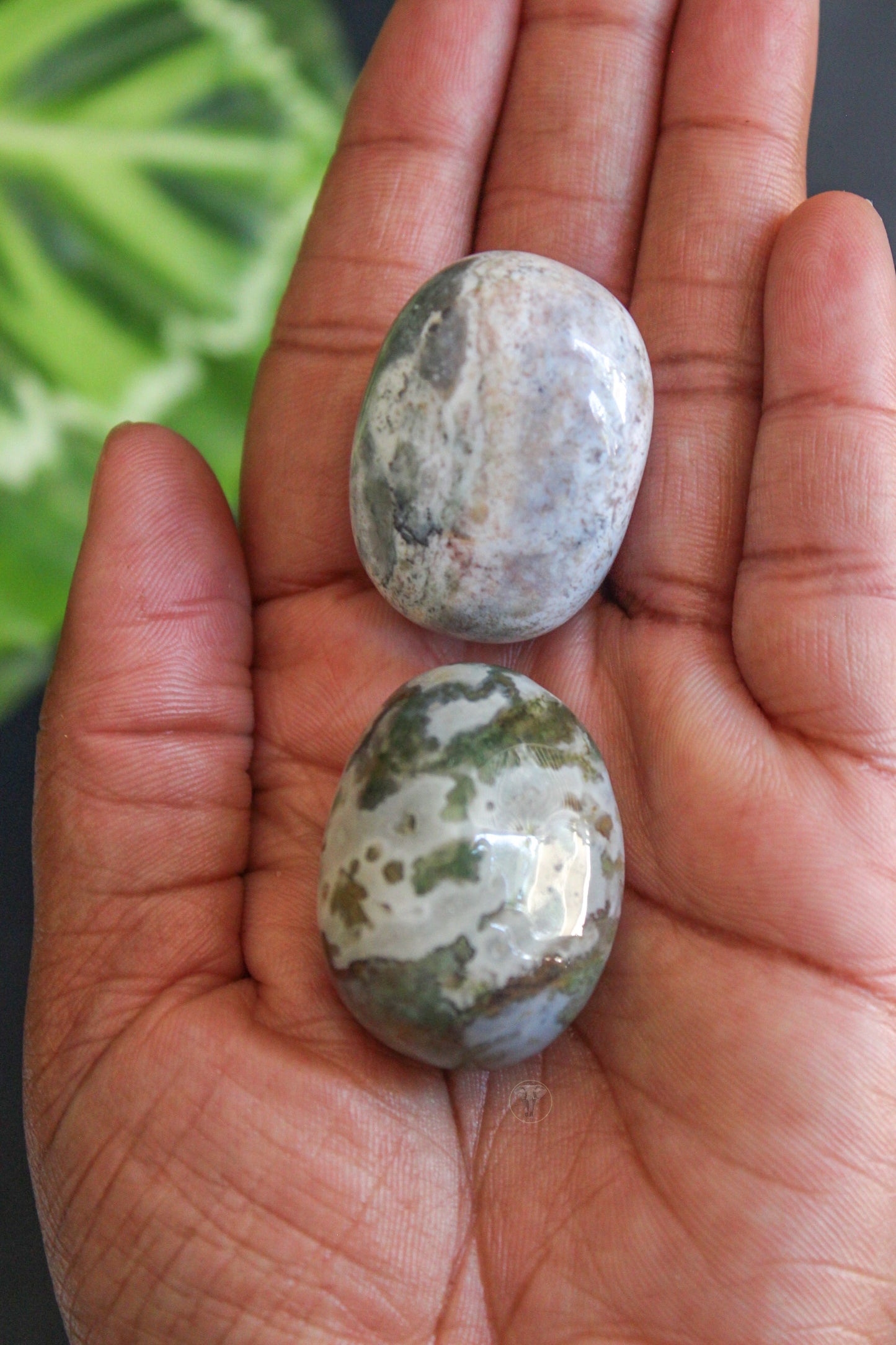 Moss Agate Tumbled Stone | Crystal Tumbled Stone | Tons of Soul Crystals