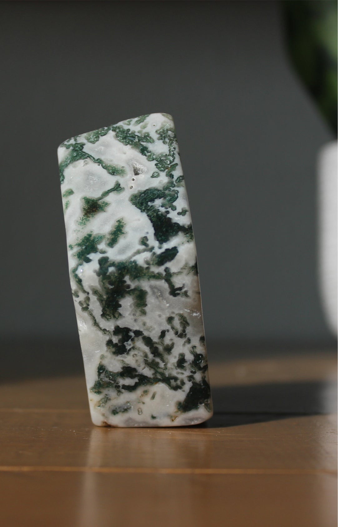 Tree Agate Trinket Bowl | Tons of Soul