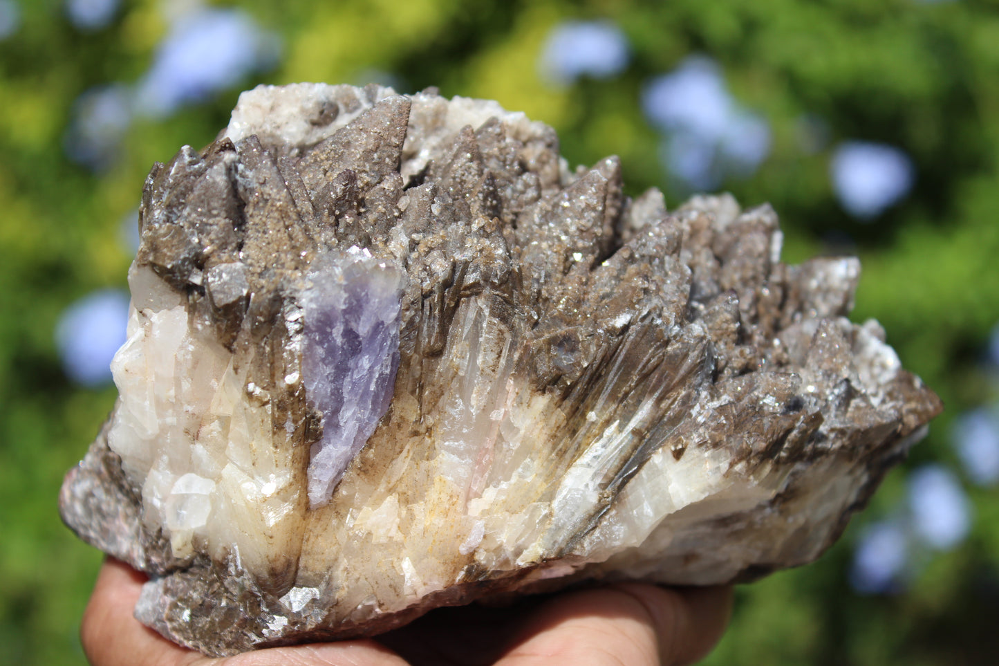 Dogtooth Calcite with Purple Fluorite Specimen