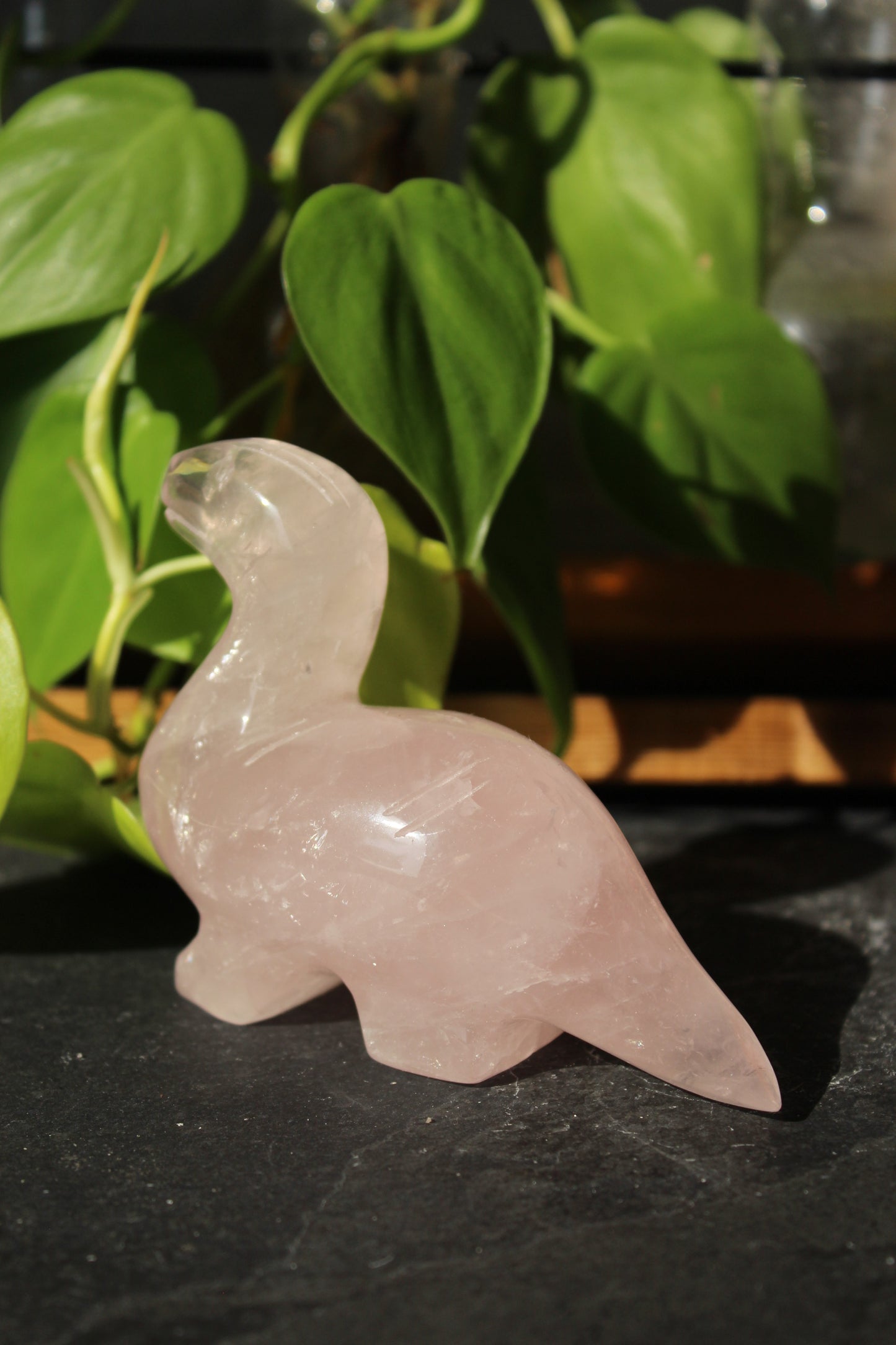 Rose Quartz Dinosaur Brontosaurus | Rose Quartz Animal | Tons of Soul