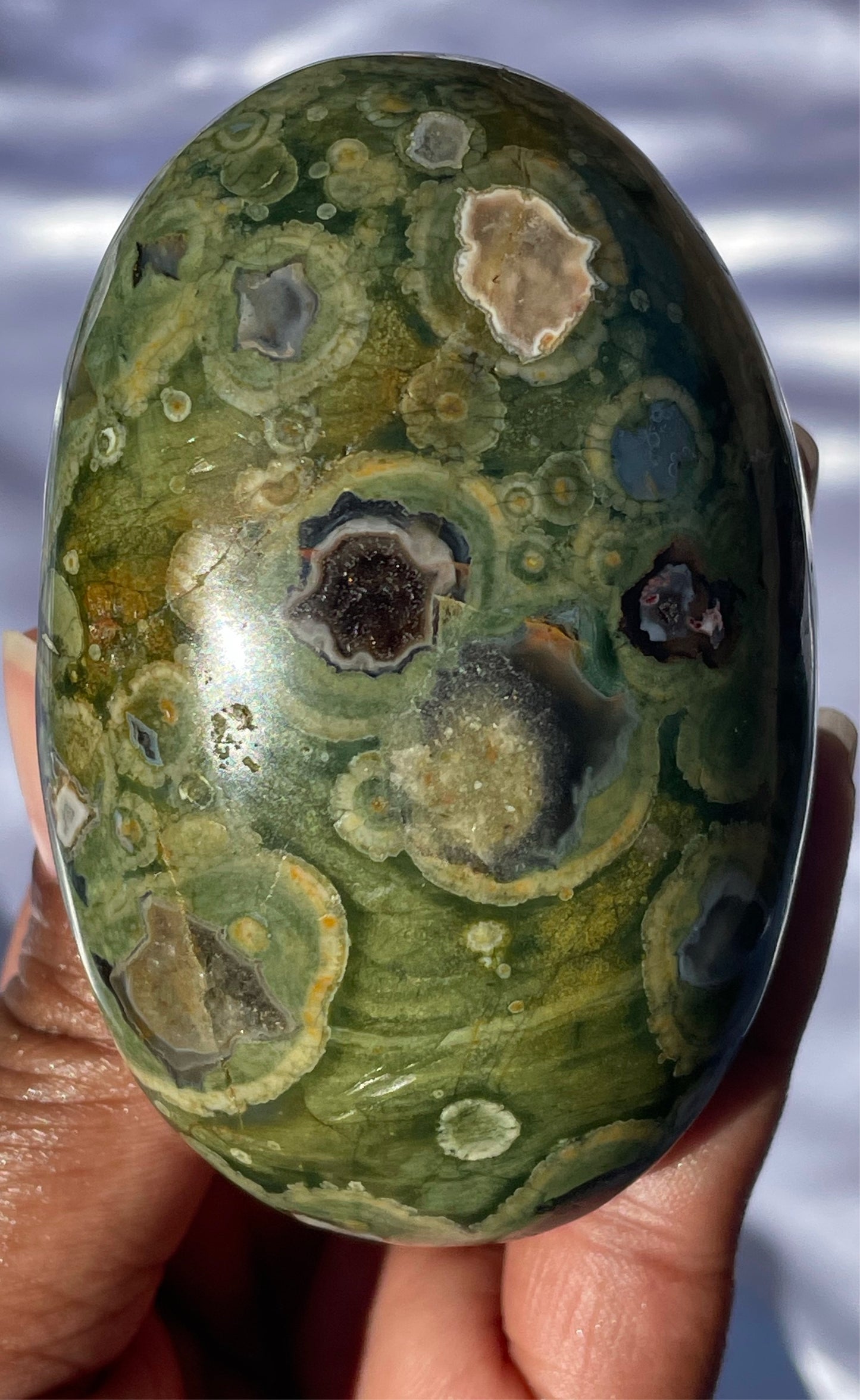 Rainforest Rhyolite Palmstone