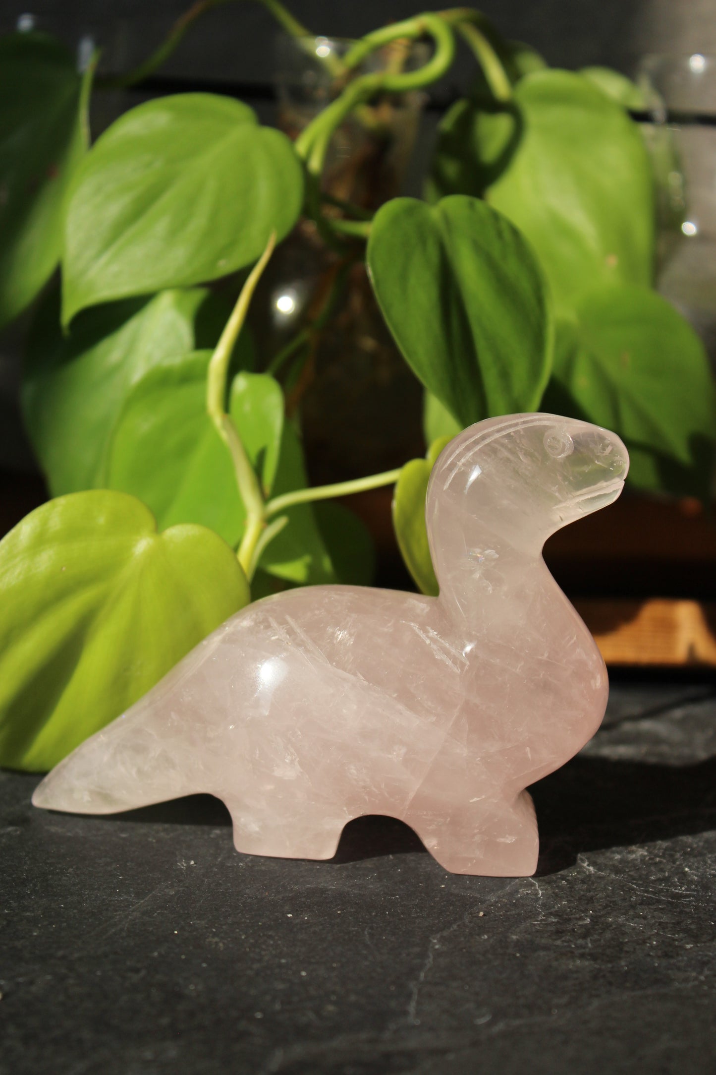 Rose Quartz Dinosaur Brontosaurus | Rose Quartz Animal | Tons of Soul