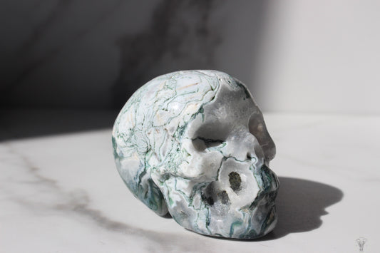 Tree Agate Skull | Tons of Soul