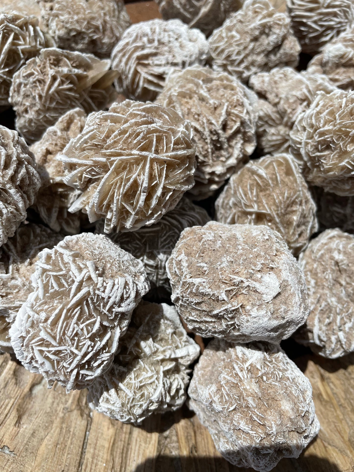 Desert Rose Selenite  - Mexico