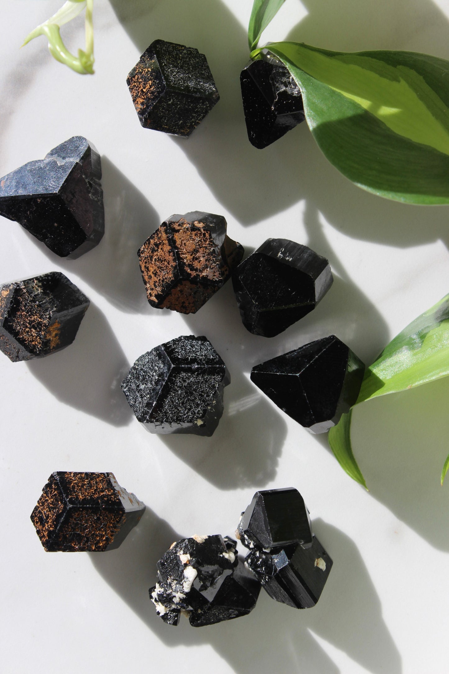 Small Mercedes Terminated Schorl | Star Black Tourmaline Specimen | Schorl