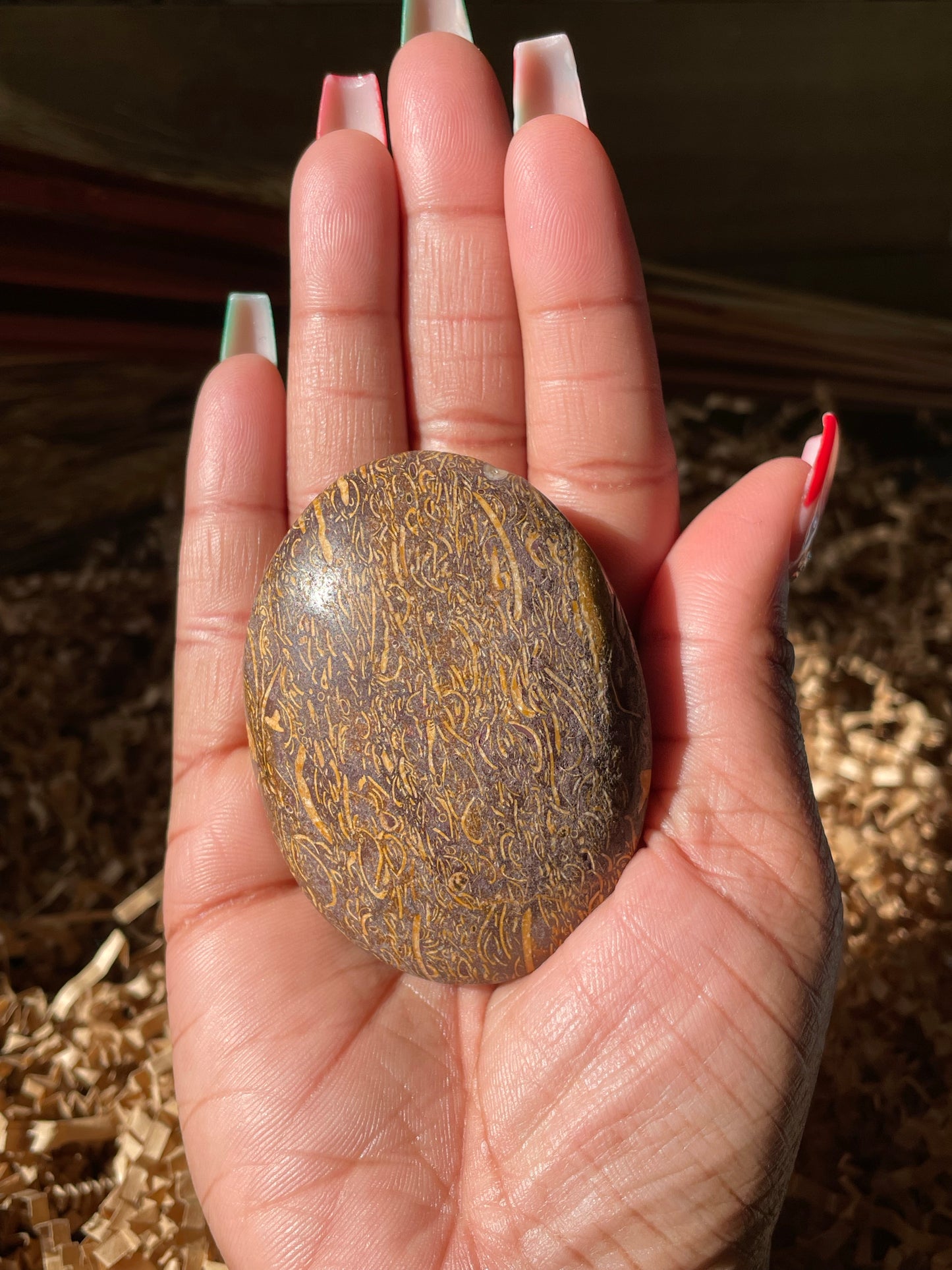 Calligraphy Stone Palmstone #4