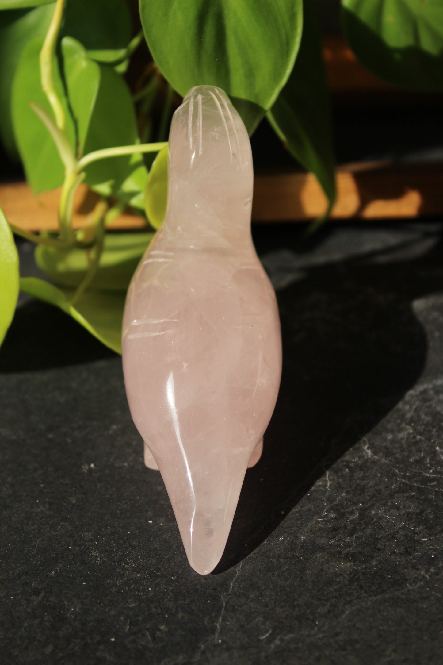 Rose Quartz Dinosaur Brontosaurus | Rose Quartz Animal | Tons of Soul