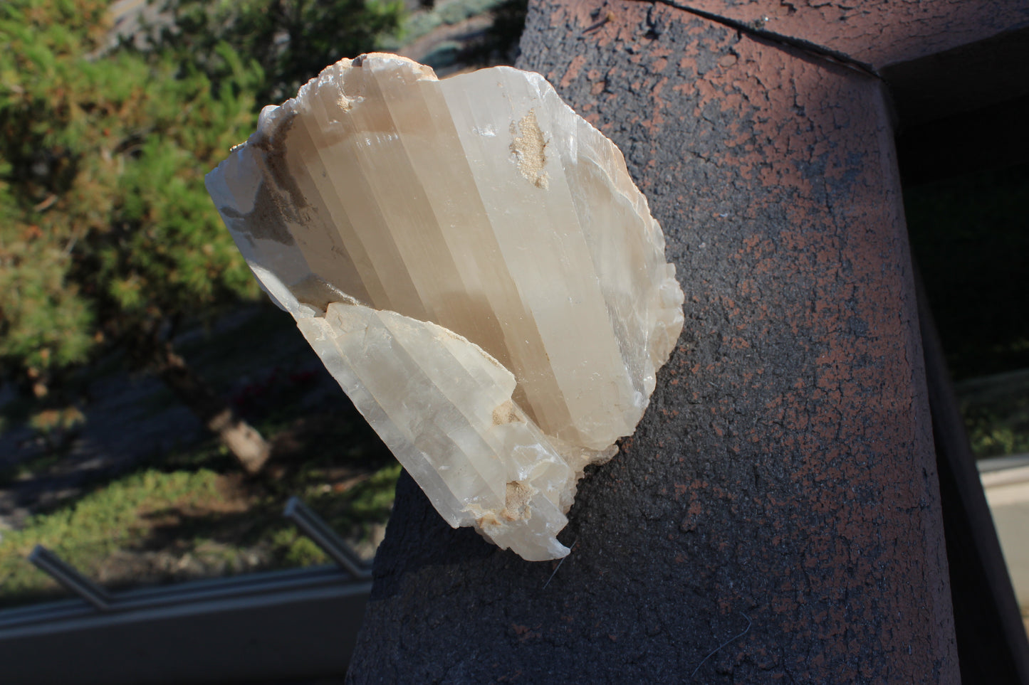 Selenite Specimen - Mexico