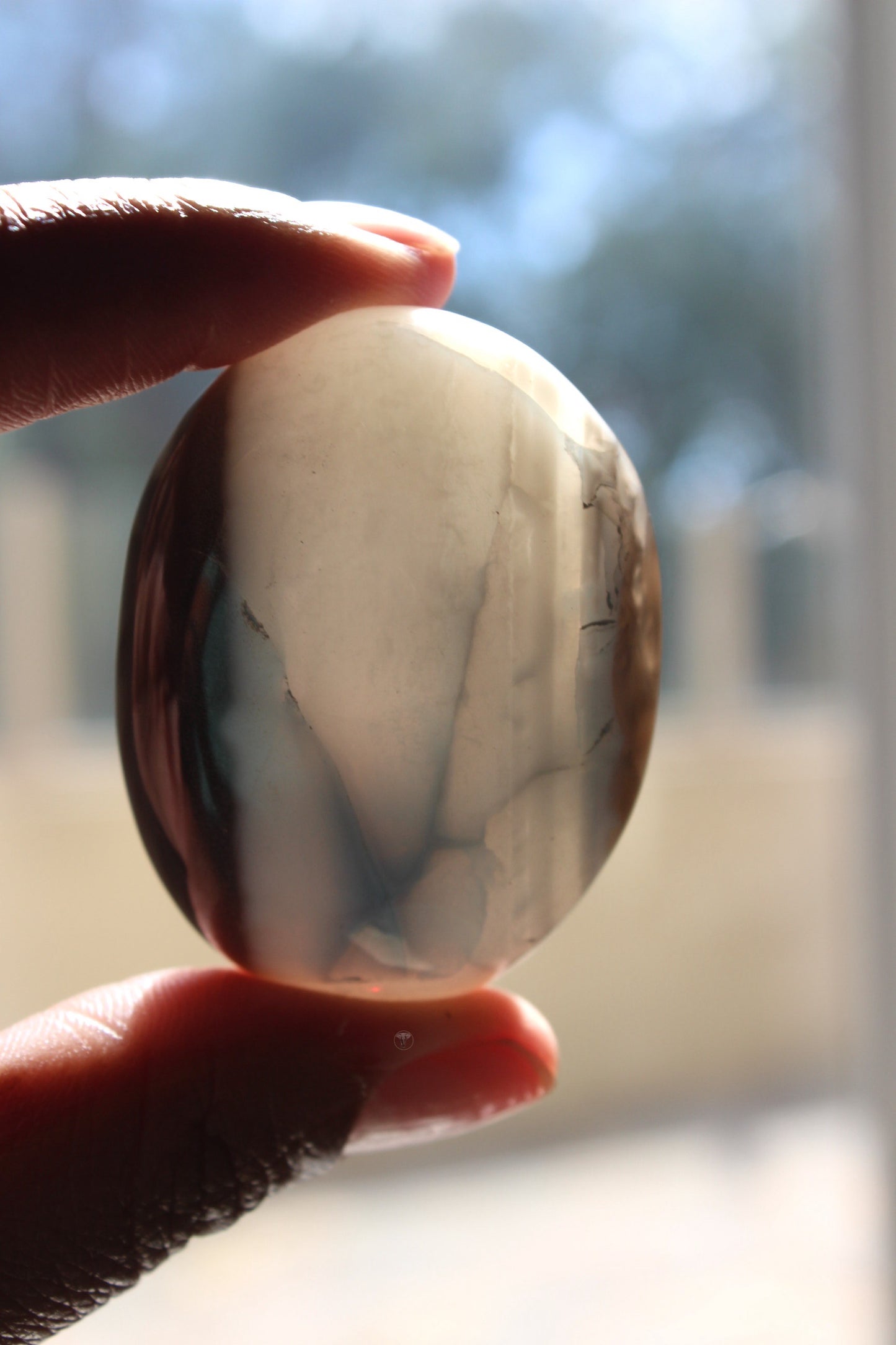 Owyhee Opal Palmstones