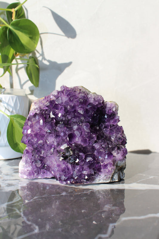 Juicy Amethyst Cluster | Tons of Soul