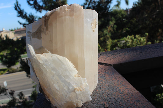 Selenite Specimen - Mexico