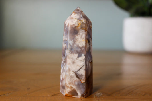 Flower Agate Point 4
