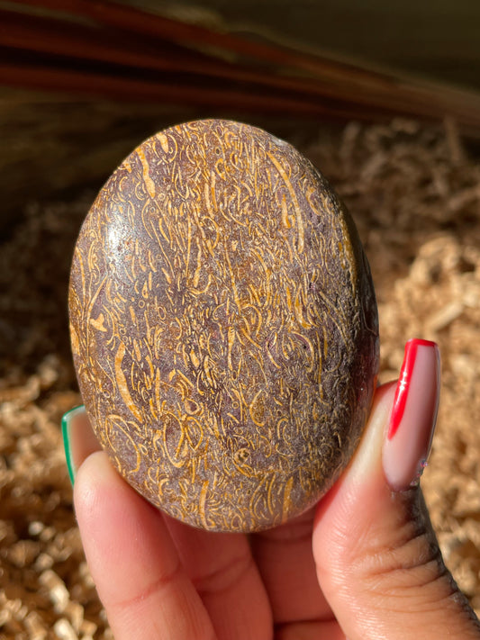 Calligraphy Stone Palmstone #4